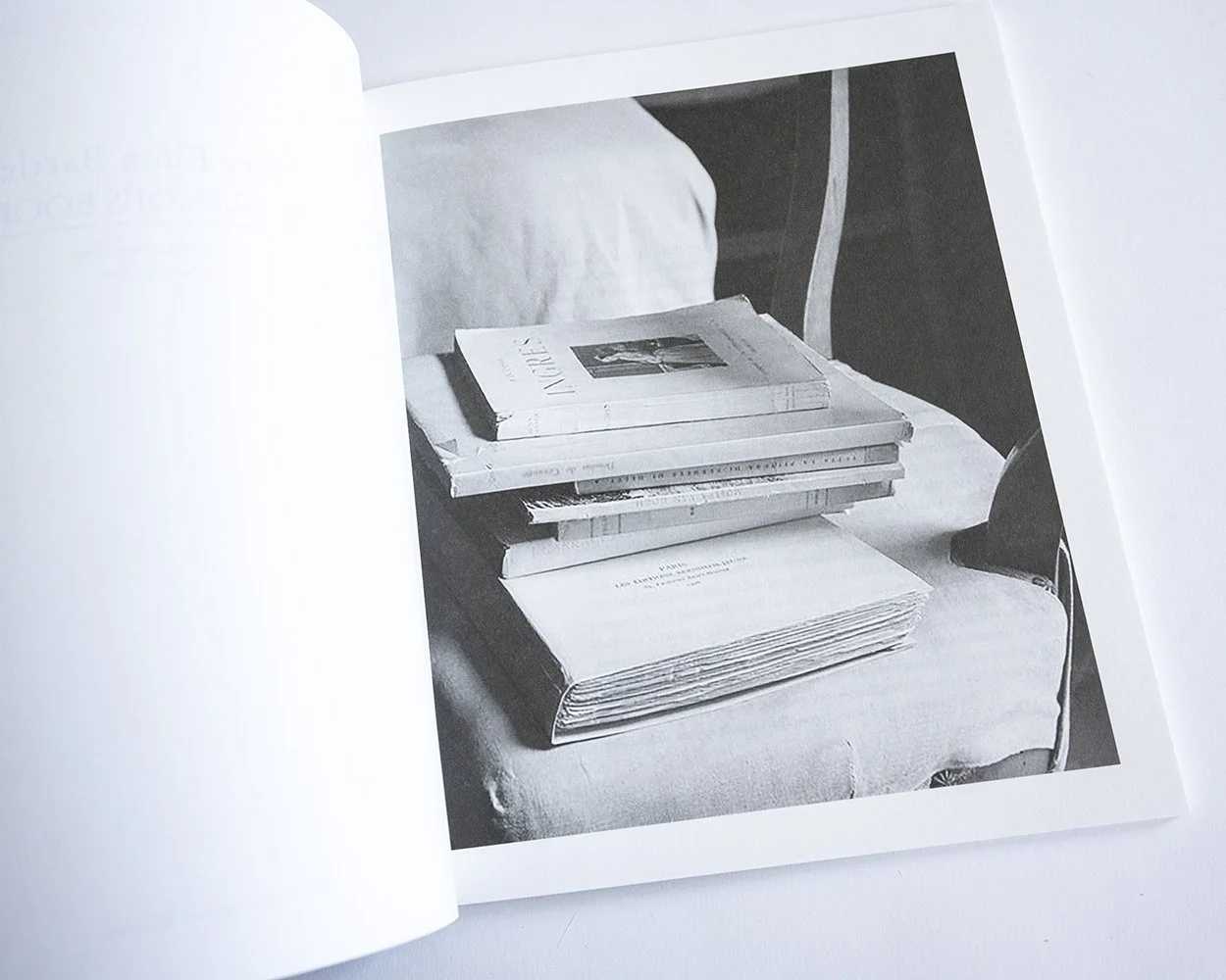 Mary Ellen Bartley – Morandi's books — bookdummypress